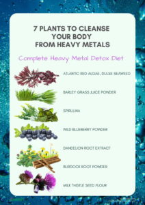  7 Plants to Cleanse Your Body from Heavy Metals
